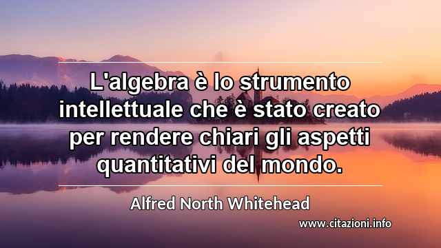 “L'algebra è lo strumento intellettuale che è stato creato per rendere chiari gli aspetti quantitativi del mondo.”