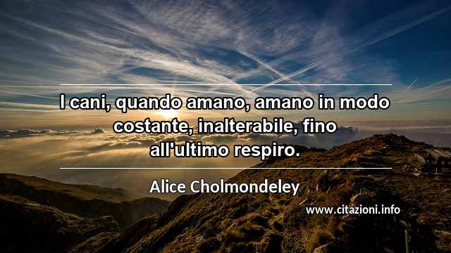 “I cani, quando amano, amano in modo costante, inalterabile, fino all'ultimo respiro.”