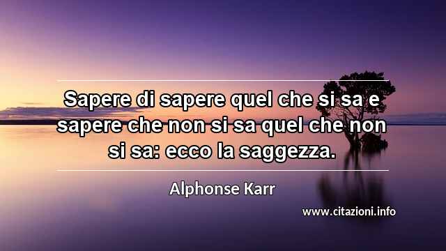 “Sapere di sapere quel che si sa e sapere che non si sa quel che non si sa: ecco la saggezza.”