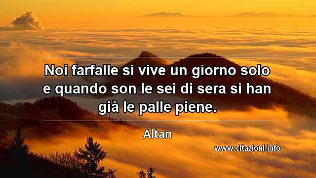 “Noi farfalle si vive un giorno solo e quando son le sei di sera si han già le palle piene.”