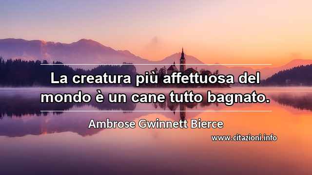 “La creatura più affettuosa del mondo è un cane tutto bagnato.”