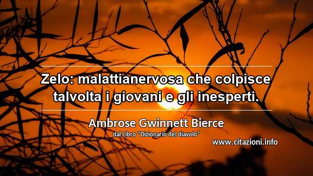 “Zelo: malattianervosa che colpisce talvolta i giovani e gli inesperti.”