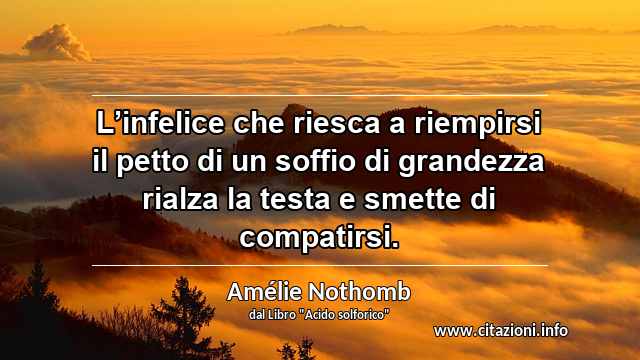 “L’infelice che riesca a riempirsi il petto di un soffio di grandezza rialza la testa e smette di compatirsi.”