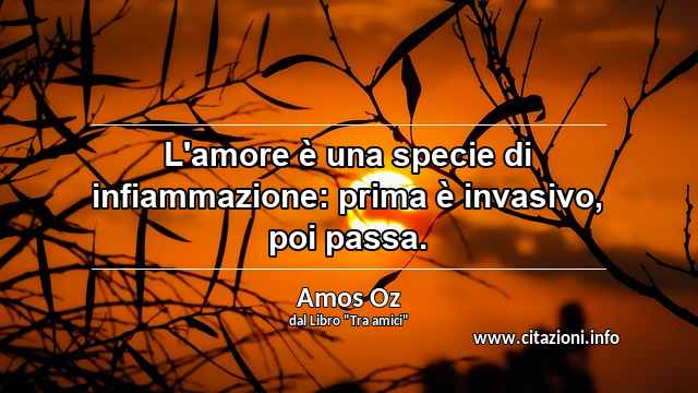 “L'amore è una specie di infiammazione: prima è invasivo, poi passa.”