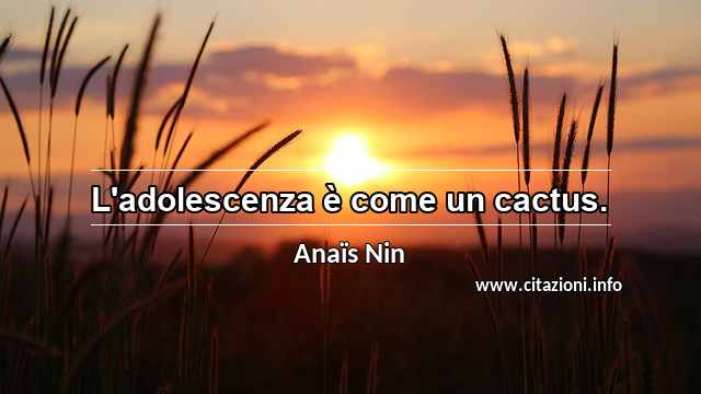 “L'adolescenza è come un cactus.”