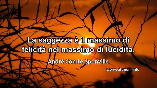 “La saggezza è il massimo di felicità nel massimo di lucidità.”