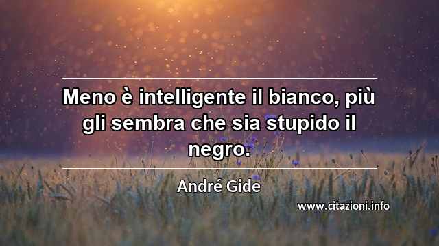 “Meno è intelligente il bianco, più gli sembra che sia stupido il negro.”