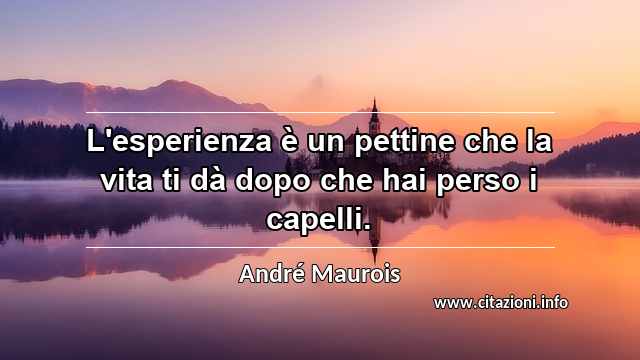 “L'esperienza è un pettine che la vita ti dà dopo che hai perso i capelli.”
