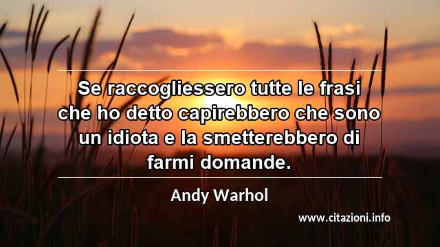 “Se raccogliessero tutte le frasi che ho detto capirebbero che sono un idiota e la smetterebbero di farmi domande.”