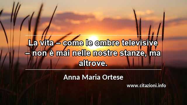 “La vita – come le ombre televisive – non è mai nelle nostre stanze, ma altrove.”