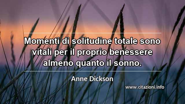 “Momenti di solitudine totale sono vitali per il proprio benessere almeno quanto il sonno.”
