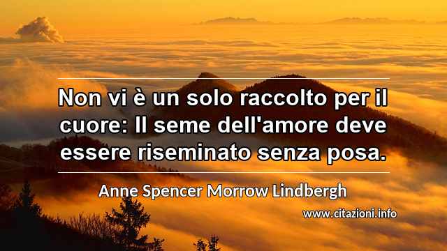 “Non vi è un solo raccolto per il cuore: Il seme dell'amore deve essere riseminato senza posa.”