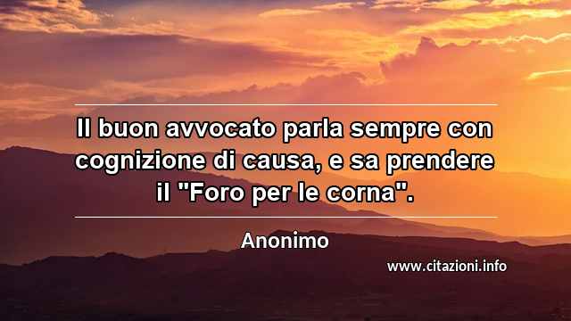 Il buon avvocato parla sempre con cognizione di causa, e sa prendere il "Foro per le corna".