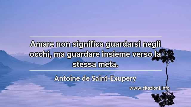 “Amare non significa guardarsi negli occhi, ma guardare insieme verso la stessa meta.”