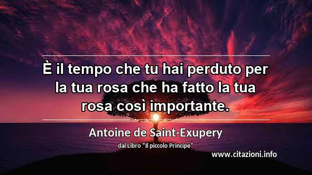 “È il tempo che tu hai perduto per la tua rosa che ha fatto la tua rosa così importante.”