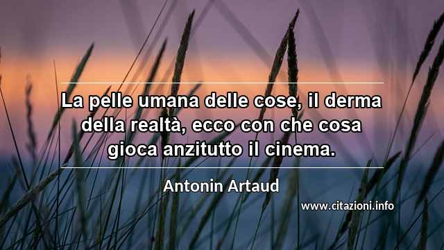 “La pelle umana delle cose, il derma della realtà, ecco con che cosa gioca anzitutto il cinema.”