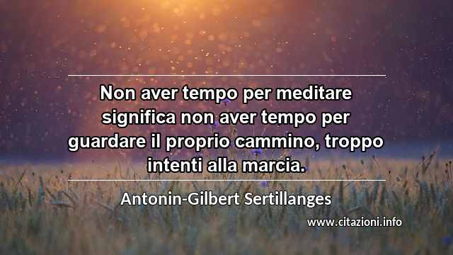 “Non aver tempo per meditare significa non aver tempo per guardare il proprio cammino, troppo intenti alla marcia.”