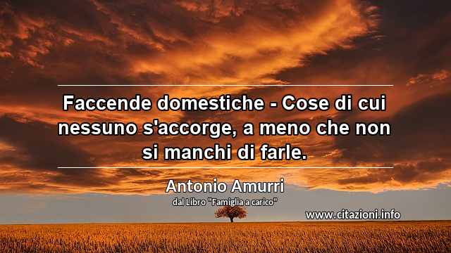 “Faccende domestiche - Cose di cui nessuno s'accorge, a meno che non si manchi di farle.”