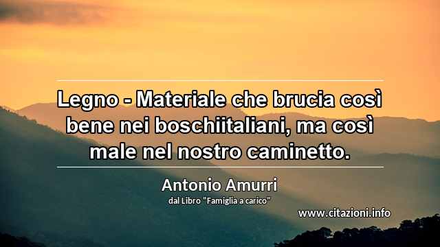 “Legno - Materiale che brucia così bene nei boschiitaliani, ma così male nel nostro caminetto.”