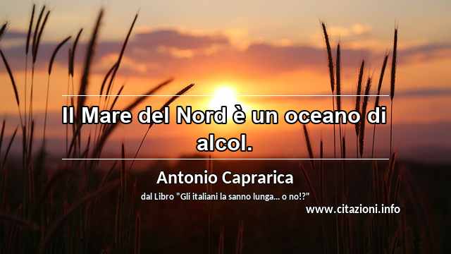 “Il Mare del Nord è un oceano di alcol.”