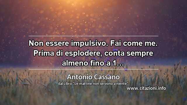 “Non essere impulsivo. Fai come me. Prima di esplodere, conta sempre almeno fino a 1…”