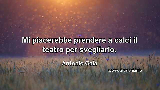 “Mi piacerebbe prendere a calci il teatro per svegliarlo.”