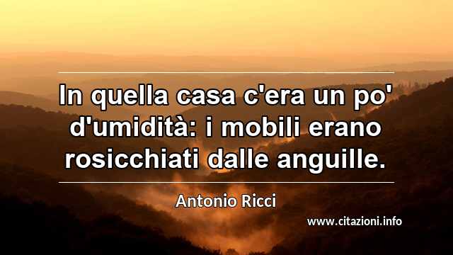 “In quella casa c'era un po' d'umidità: i mobili erano rosicchiati dalle anguille.”