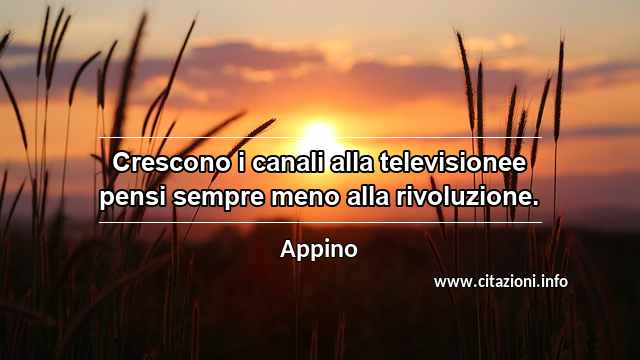 “Crescono i canali alla televisionee pensi sempre meno alla rivoluzione.”