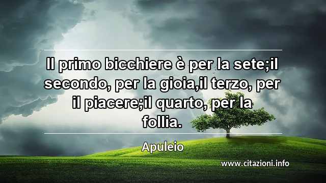 “Il primo bicchiere è per la sete;il secondo, per la gioia,il terzo, per il piacere;il quarto, per la follia.”