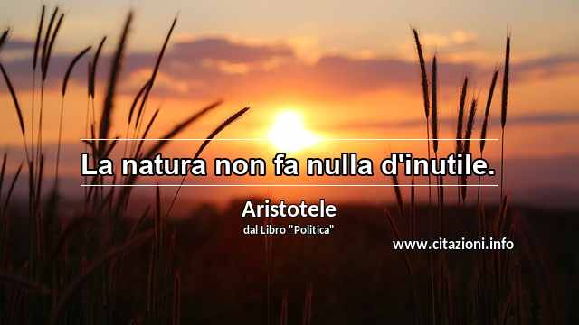 “La natura non fa nulla d'inutile.”