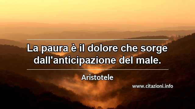 “La paura è il dolore che sorge dall'anticipazione del male.”