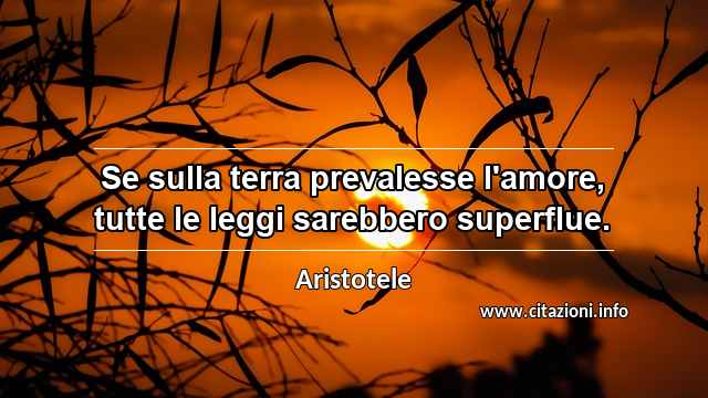 “Se sulla terra prevalesse l'amore, tutte le leggi sarebbero superflue.”