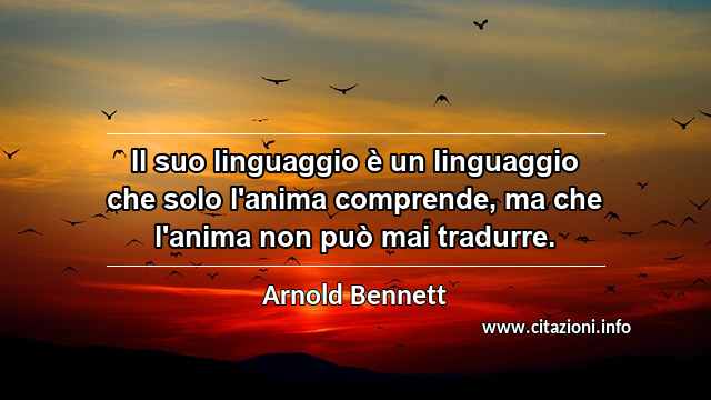 “Il suo linguaggio è un linguaggio che solo l'anima comprende, ma che l'anima non può mai tradurre.”