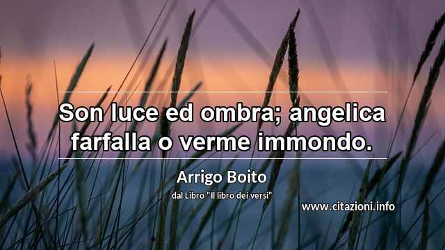 “Son luce ed ombra; angelica farfalla o verme immondo.”
