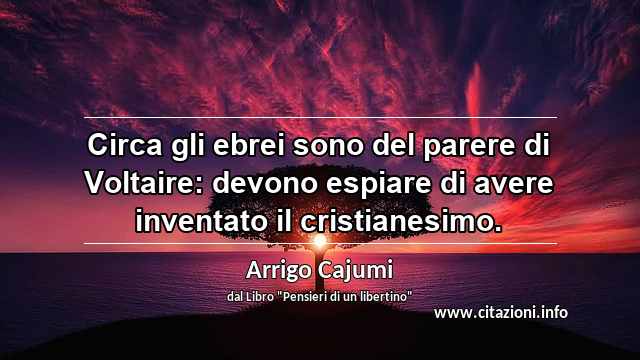 “Circa gli ebrei sono del parere di Voltaire: devono espiare di avere inventato il cristianesimo.”
