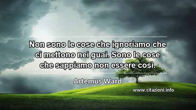 “Non sono le cose che ignoriamo che ci mettono nei guai. Sono le cose che sappiamo non essere così.”