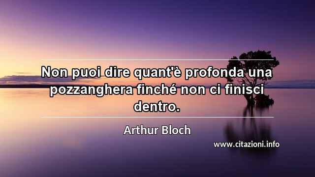“Non puoi dire quant'è profonda una pozzanghera finché non ci finisci dentro.”