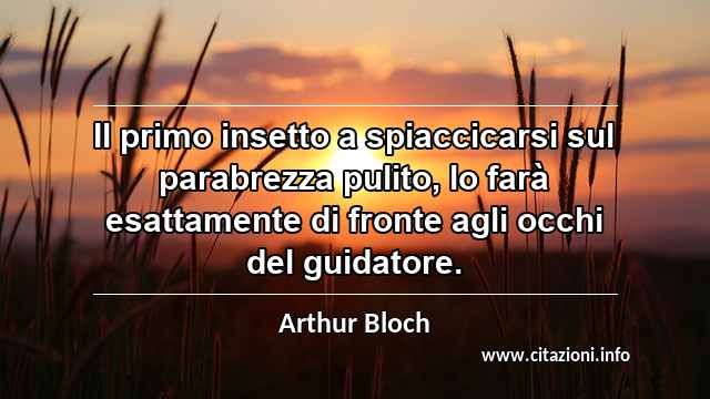 “Il primo insetto a spiaccicarsi sul parabrezza pulito, lo farà esattamente di fronte agli occhi del guidatore.”