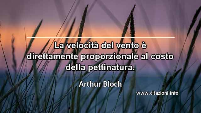 “La velocità del vento è direttamente proporzionale al costo della pettinatura.”