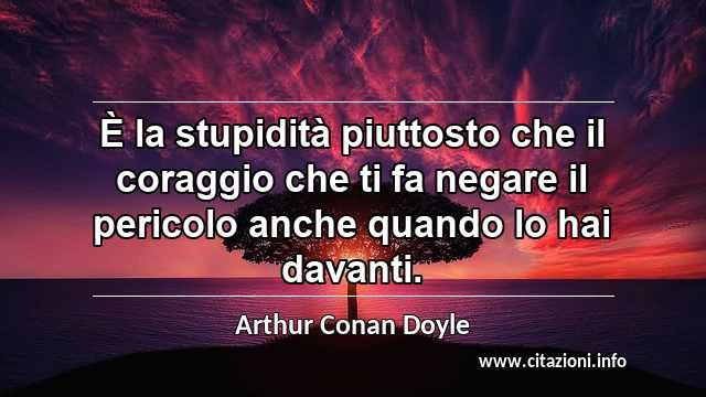 “È la stupidità piuttosto che il coraggio che ti fa negare il pericolo anche quando lo hai davanti.”
