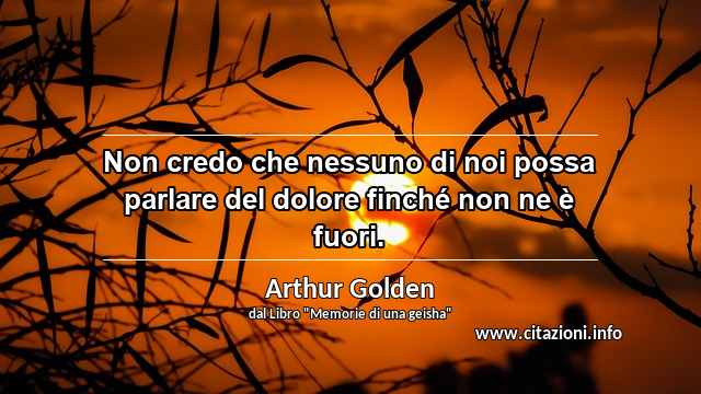 “Non credo che nessuno di noi possa parlare del dolore finché non ne è fuori.”