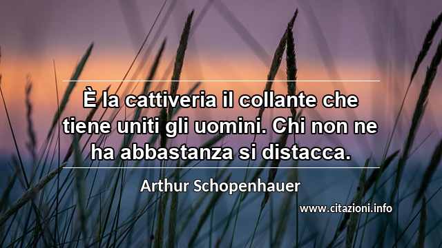 “È la cattiveria il collante che tiene uniti gli uomini. Chi non ne ha abbastanza si distacca.”