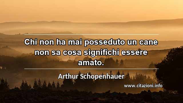“Chi non ha mai posseduto un cane non sa cosa significhi essere amato.”
