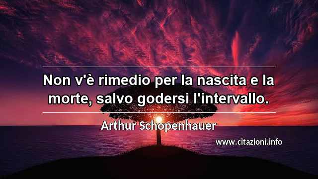 “Non v'è rimedio per la nascita e la morte, salvo godersi l'intervallo.”