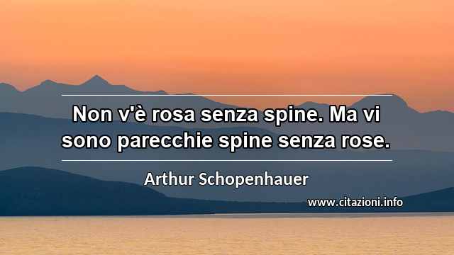 “Non v'è rosa senza spine. Ma vi sono parecchie spine senza rose.”