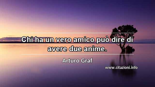 “Chi ha un vero amico può dire di avere due anime.”
