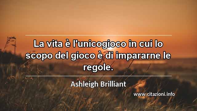 “La vita è l'unicogioco in cui lo scopo del gioco è di impararne le regole.”