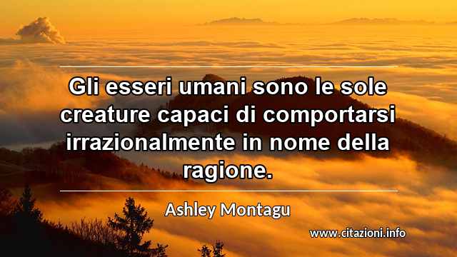 “Gli esseri umani sono le sole creature capaci di comportarsi irrazionalmente in nome della ragione.”