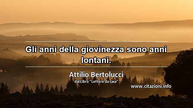 “Gli anni della giovinezza sono anni lontani.”