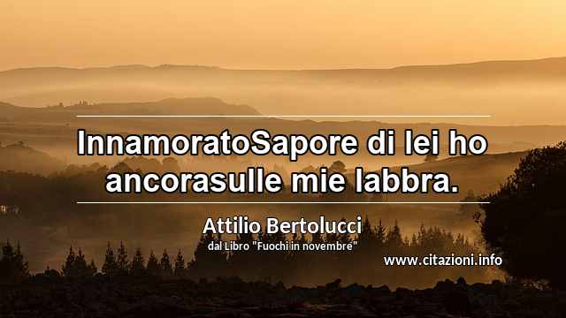 “InnamoratoSapore di lei ho ancorasulle mie labbra.”
